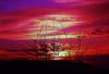 Filename=almoskyfire.jpg
Filesize=32KiB
Dimensions=400x275
Date added=Jul 30, 2009 almoskyfire.jpg